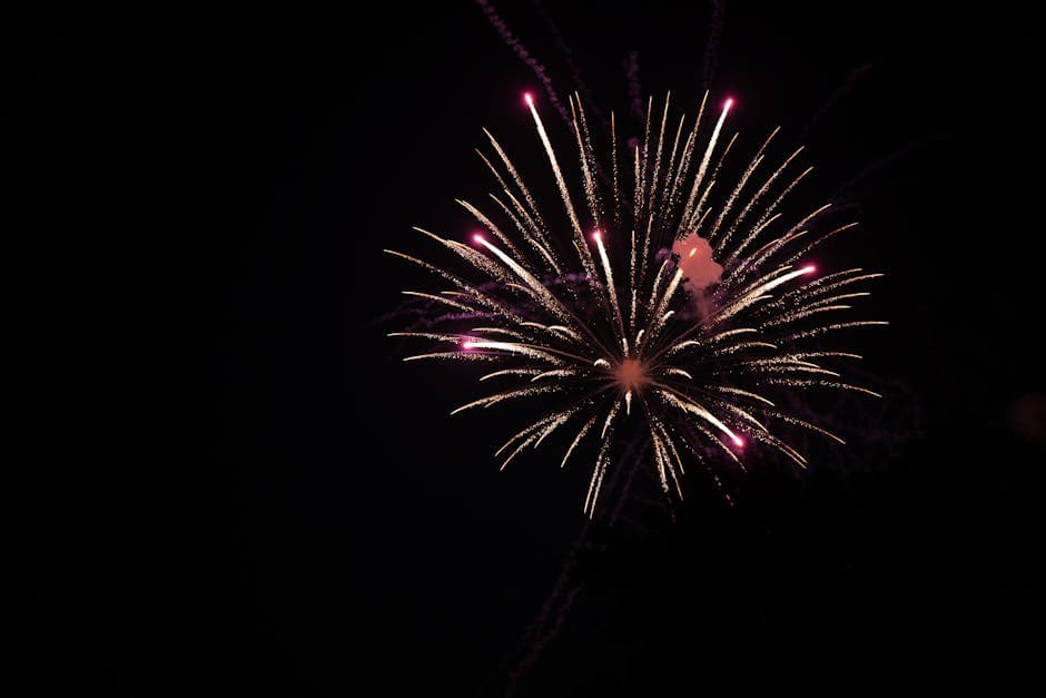 Best Fireworks & Pyrotechnics for Weddings in Udaipur