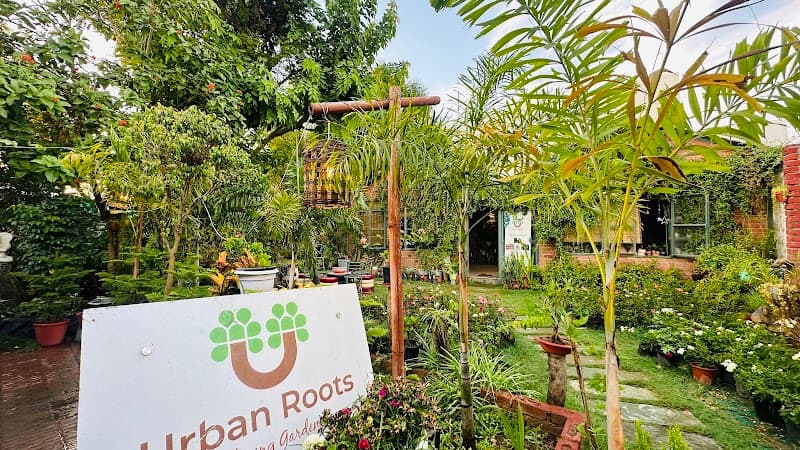 Urban Roots Nursery photo 2