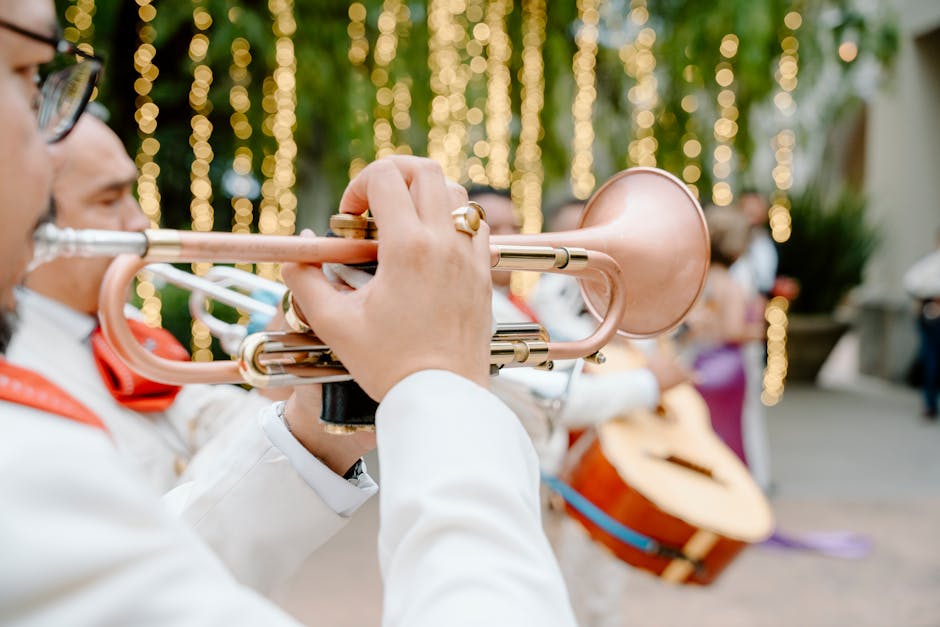 Traditional Rajasthani folk musicians performing at an outdoor wedding venue in Udaipur